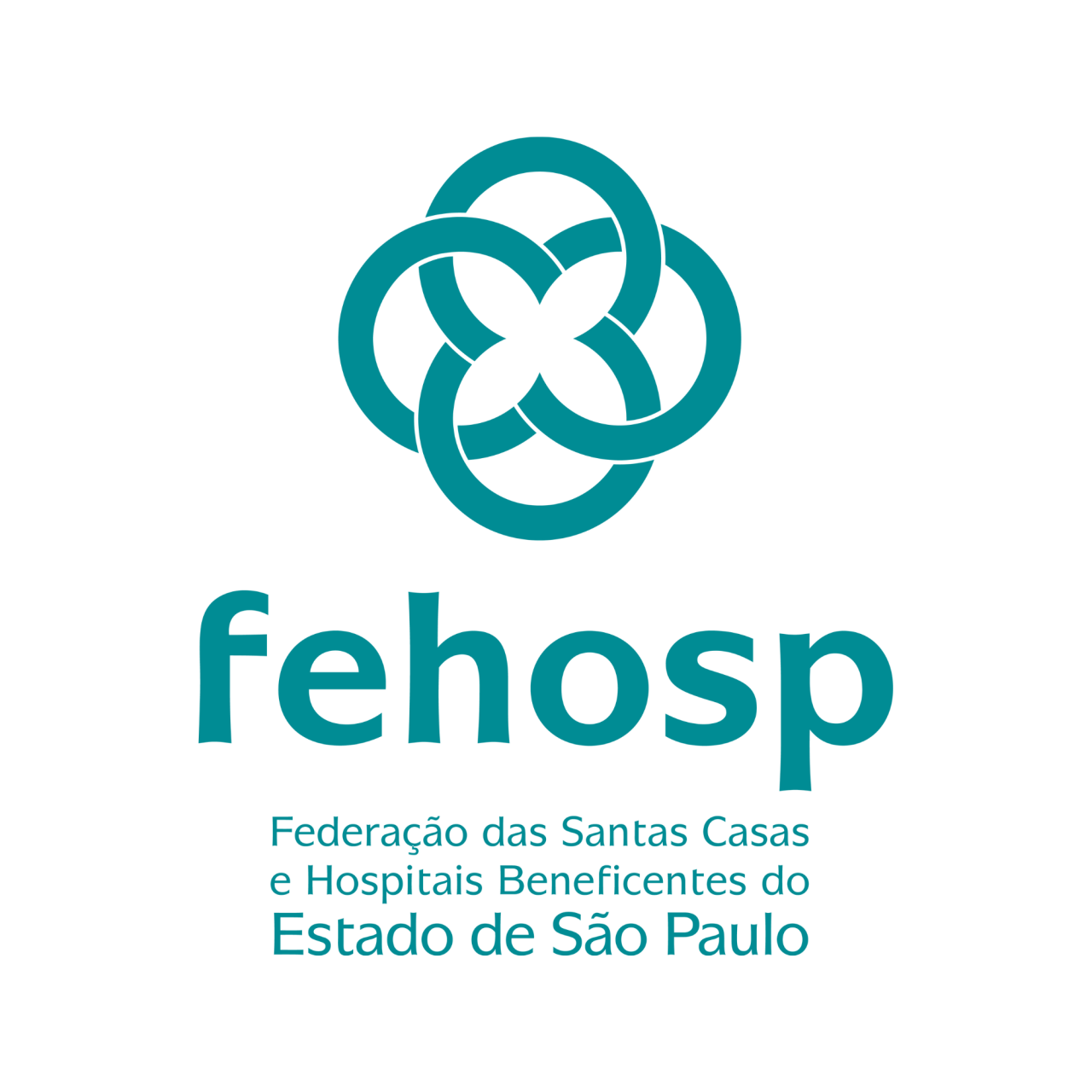 Logo FEHOSP