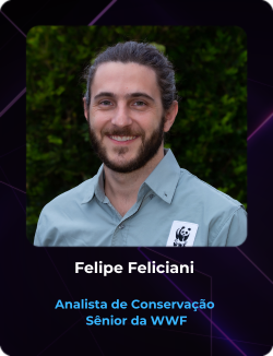 Felipe Feliciani 