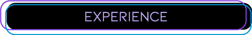 Experience